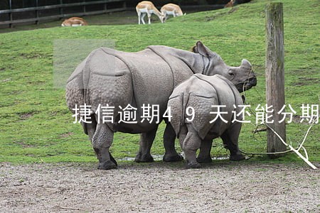 捷信逾期49天还能分期嘛 捷信逾期49天还能分期嘛