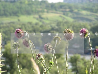捷信逾期4万多会坐牢吗 捷信逾期4万多会坐牢吗