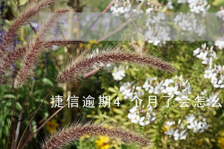捷信逾期4个月了会怎么样 捷信逾期4个月了会怎么样