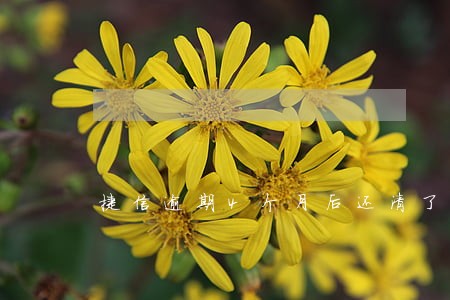 捷信逾期4个月后还清了 捷信逾期4个月后还清了