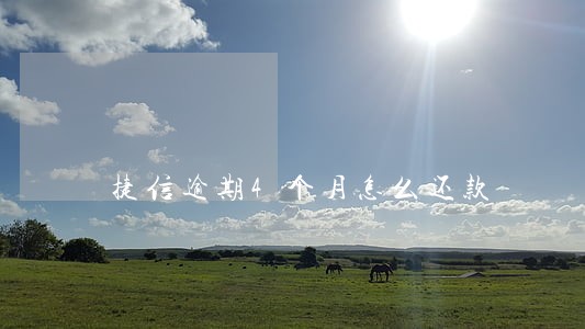 捷信逾期4个月怎么还款 捷信逾期4个月怎么还款
