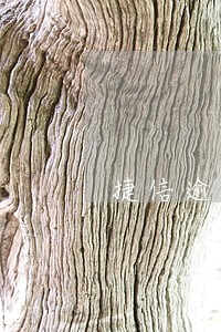 捷信逾期4天了还款会怎样 捷信逾期4天了还款会怎样