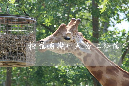 捷信逾期4天会上征信吗 捷信逾期4天会上征信吗
