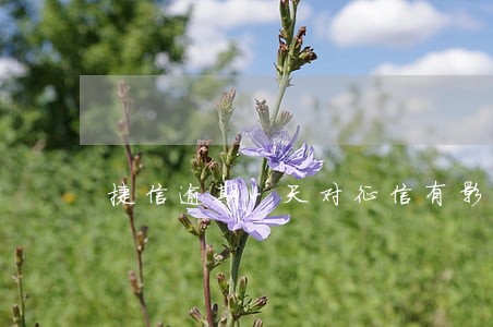 捷信逾期4天对征信有影响吗 捷信逾期4天对征信有影响吗