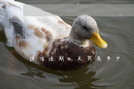 捷信逾期4天罚息多少 捷信逾期4天罚息多少