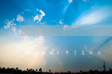 捷信逾期4年了怎么办 捷信逾期4年了怎么办