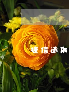 捷信逾期4年什么后果 捷信逾期4年什么后果