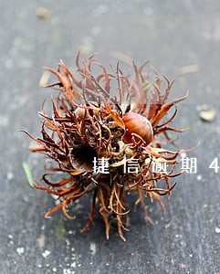 捷信逾期4年今天又催了 捷信逾期4年今天又催了