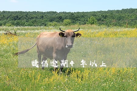 捷信逾期4年以上 捷信逾期4年以上