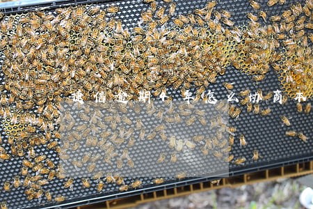 捷信逾期4年怎么协商本金分期 捷信逾期4年怎么协商本金分期