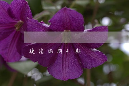 捷信逾期4期 捷信逾期4期