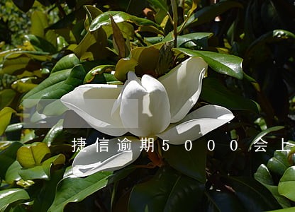 捷信逾期5000会上门不 捷信逾期5000会上门不