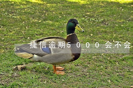 捷信逾期5000会不会上征信