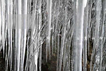 捷信逾期500会遭到经侦立案吗 捷信逾期500会遭到经侦立案吗