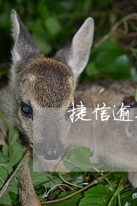 捷信逾期500多天 捷信逾期500多天