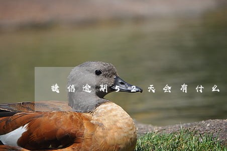捷信逾期52天会有什么后果 捷信逾期52天会有什么后果