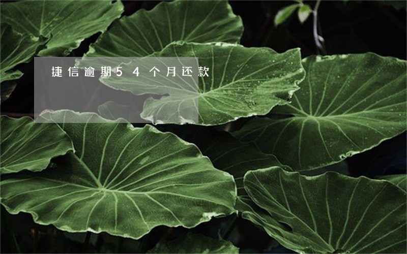 捷信逾期54个月还款 捷信逾期54个月还款