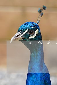 捷信逾期5个月派出所 捷信逾期5个月派出所