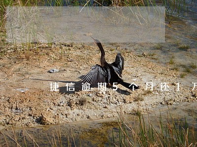 捷信逾期5个月还1万 捷信逾期5个月还1万