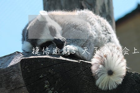 捷信逾期5天了会不会上征信 捷信逾期5天了会不会上征信