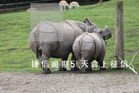 捷信逾期5天会上征信 捷信逾期5天会上征信