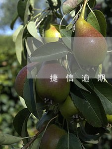 捷信逾期5天会怎么办 捷信逾期5天会怎么办