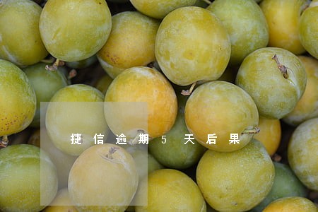 捷信逾期5天后果 捷信逾期5天后果