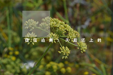 捷信逾期5天后还上的 捷信逾期5天后还上的