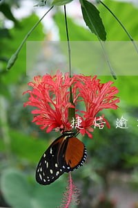捷信逾期5天还会打电话吗 捷信逾期5天还会打电话吗
