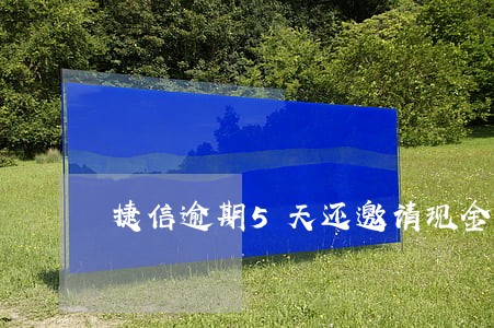 捷信逾期5天还邀请现金贷吗 捷信逾期5天还邀请现金贷吗