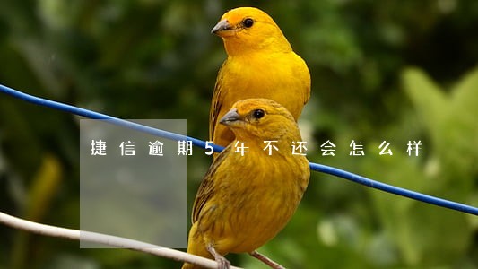 捷信逾期5年不还会怎么样 捷信逾期5年不还会怎么样