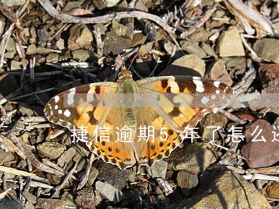 捷信逾期5年了怎么还 捷信逾期5年了怎么还