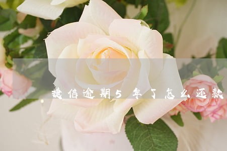 捷信逾期5年了怎么还款 捷信逾期5年了怎么还款