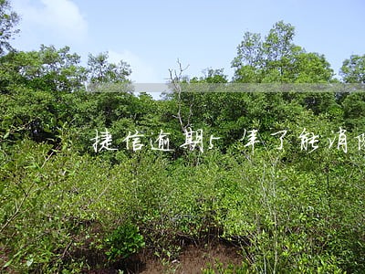 捷信逾期5年了能消除吗 捷信逾期5年了能消除吗