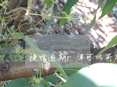捷信逾期5年可以买房吗 捷信逾期5年可以买房吗