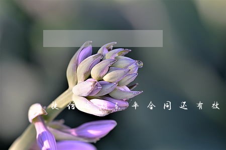 捷信逾期5年合同还有效吗 捷信逾期5年合同还有效吗