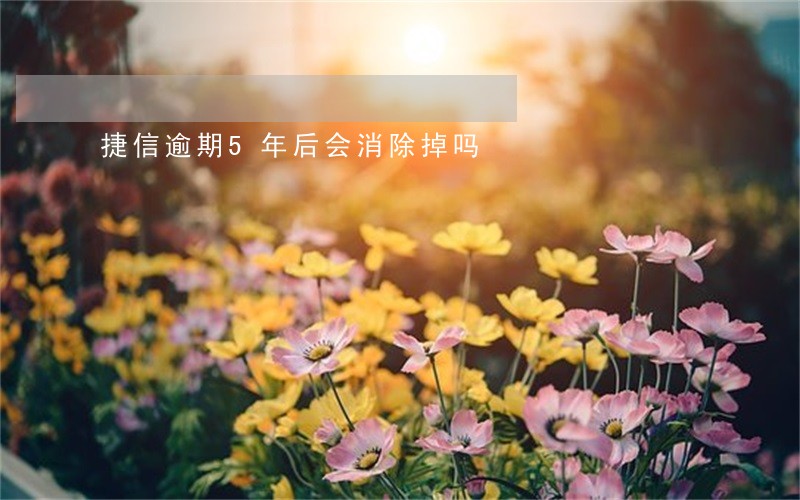 捷信逾期5年后会消除掉吗 捷信逾期5年后会消除掉吗