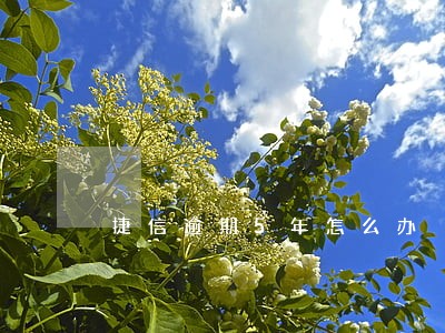 捷信逾期5年怎么办 捷信逾期5年怎么办