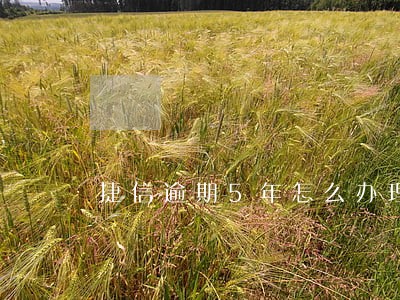捷信逾期5年怎么办理贷款 捷信逾期5年怎么办理贷款
