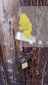 捷信逾期5年没还会上征信吗 捷信逾期5年没还会上征信吗