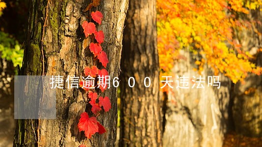 捷信逾期600天违法吗 捷信逾期600天违法吗
