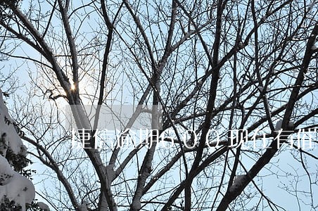 捷信逾期600现在有催收了 捷信逾期600现在有催收了