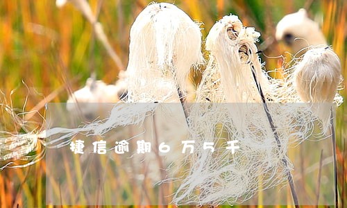 捷信逾期6万5千