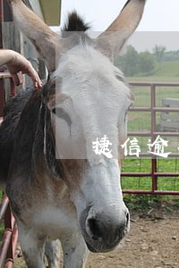 捷信逾期6天 捷信逾期6天