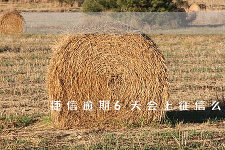捷信逾期6天会上征信么 捷信逾期6天会上征信么