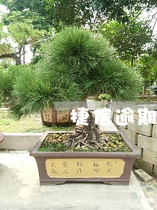 捷信逾期6天就发短信给家里人 捷信逾期6天就发短信给家里人