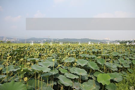 捷信逾期6天算不良记录吗 捷信逾期6天算不良记录吗