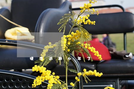捷信逾期6年了 捷信逾期6年了