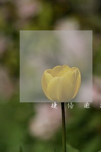 捷信逾期6年会坐牢吗 捷信逾期6年会坐牢吗