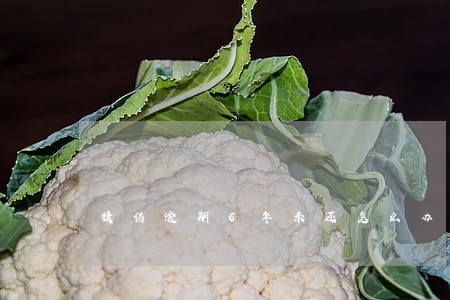 捷信逾期6年未还怎么办 捷信逾期6年未还怎么办